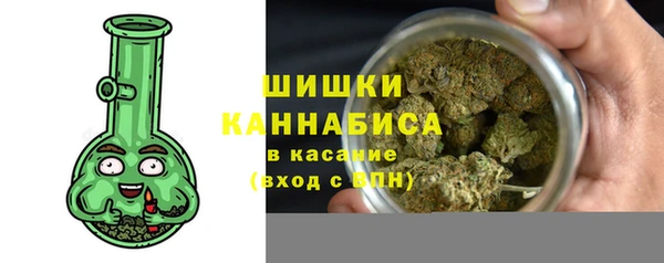 дмт Арсеньев