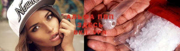 винт Аркадак