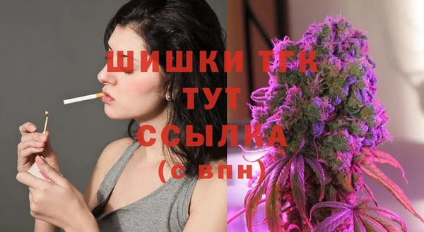 дмт Арсеньев